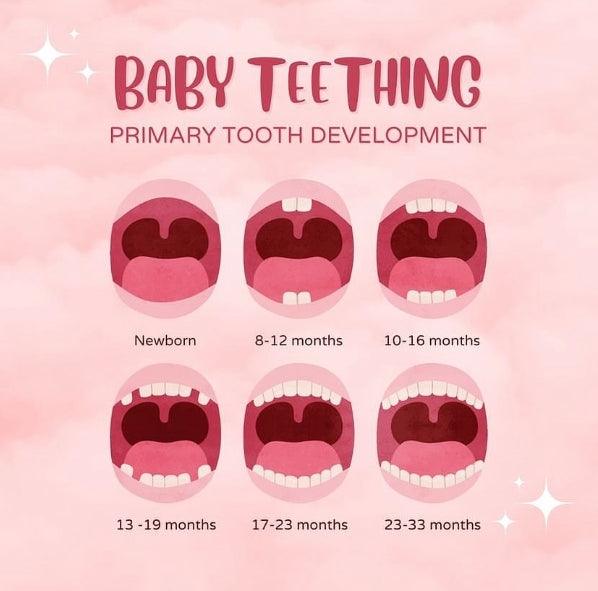 Understanding Baby's Chewing Behavior: A Guide for Parents