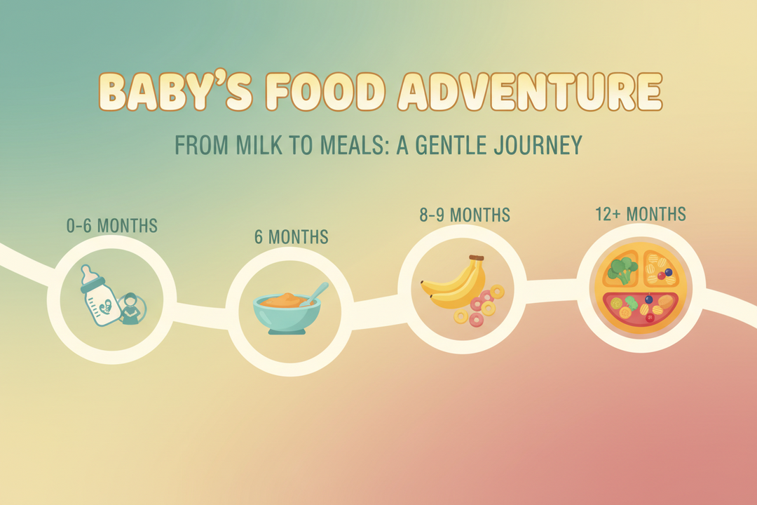 From Milk to Solids: A Feeding Timeline Every New Parent Should Bookmark