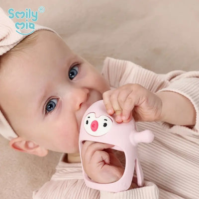 Baby Teether Toy for 0-6 Months Baby Teething Relief Teething toys 2 Packages kits