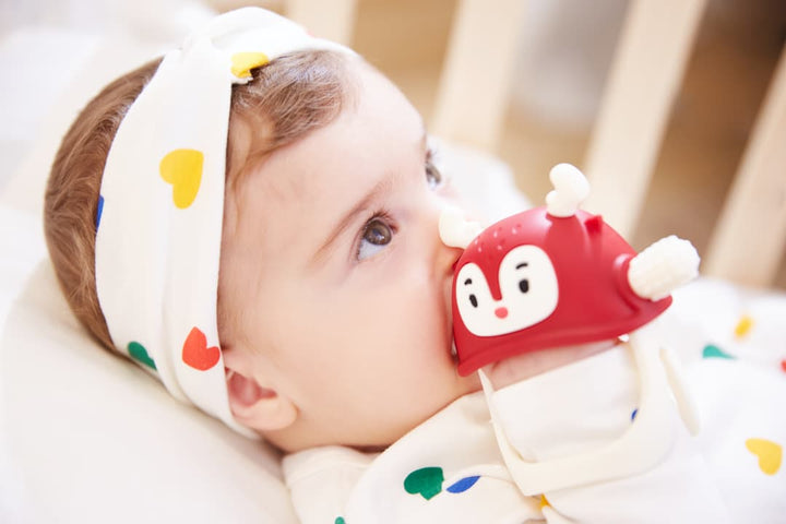 Baby Teether Toy 2 in 1 value pack: Icecream*1+Flip-Flap*1