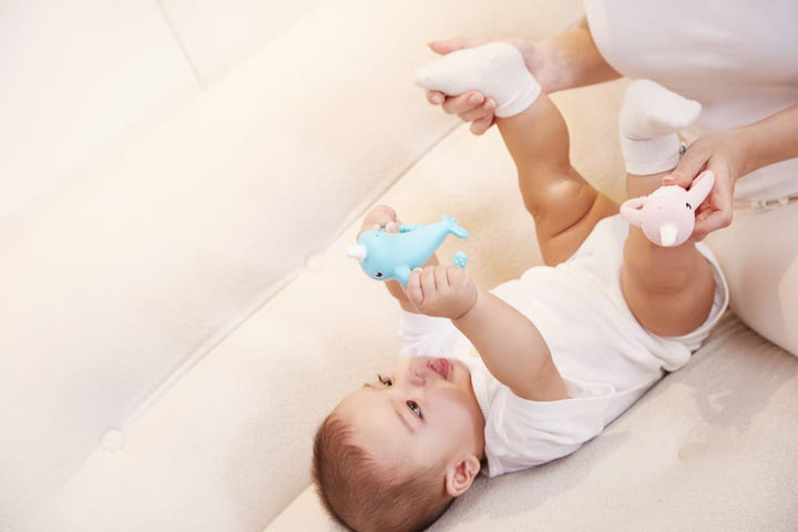 Baby Teether Toy 2 in 1 value pack: Icecream*1+Flip-Flap*1