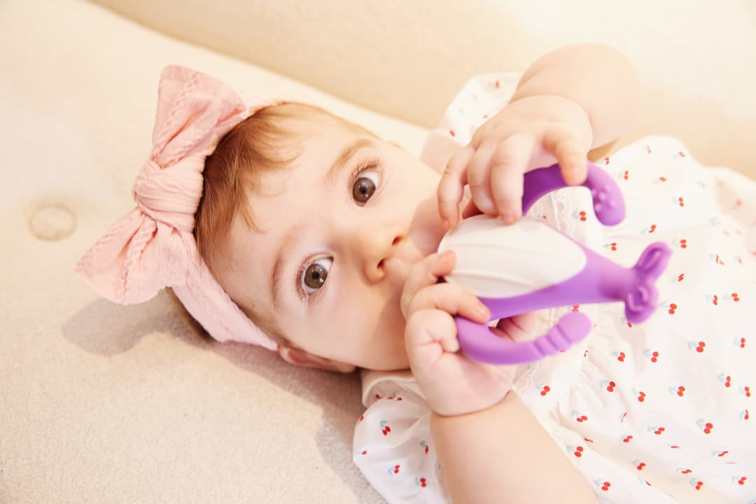 Baby Teether Toy 2 in 1 value pack: Icecream*1+Flip-Flap*1